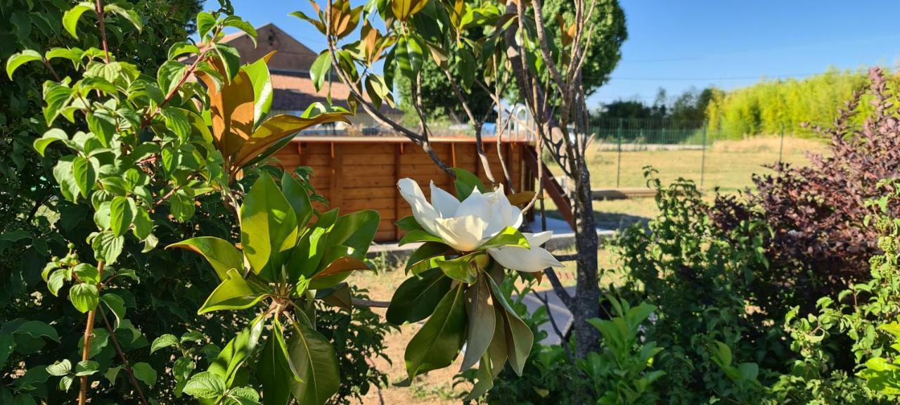 Apartmán Mas Gabelys Superbe Vue Sainte Victoire Jardin Terrasse Et Piscine Trets Exteriér fotografie