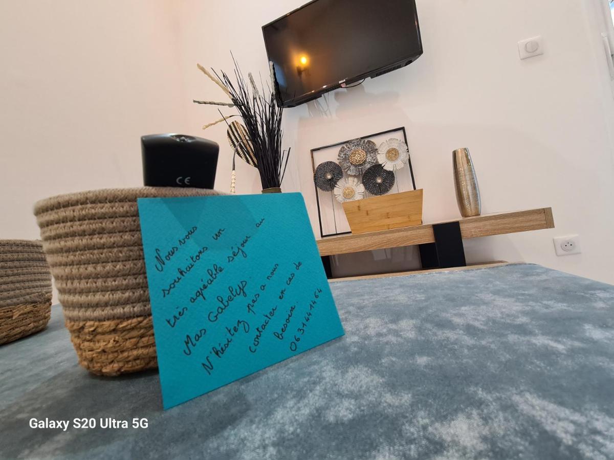 Apartmán Mas Gabelys Superbe Vue Sainte Victoire Jardin Terrasse Et Piscine Trets Exteriér fotografie